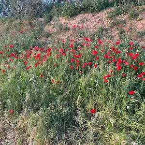 Appartamento Antico Borgo